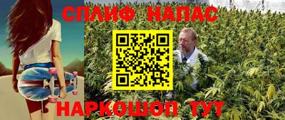 МДПВ Владивосток