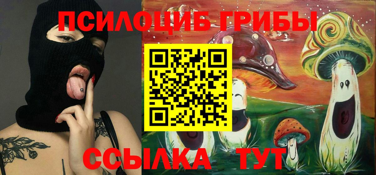 Галлюциногенные грибы мицелий Димитровград